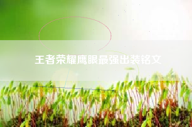 王者荣耀鹰眼最强出装铭文