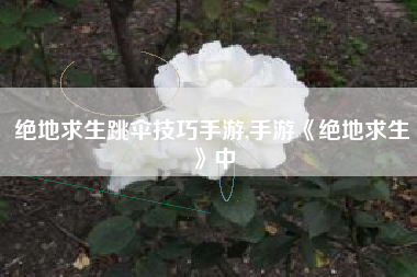 绝地求生跳伞技巧手游,手游《绝地求生》中
