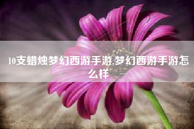 10支蜡烛梦幻西游手游,梦幻西游手游怎么样