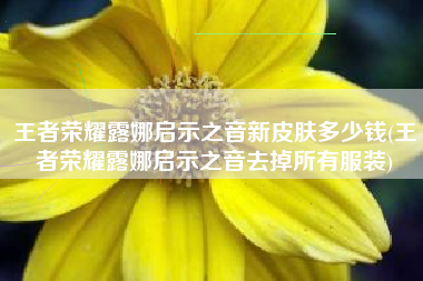 王者荣耀露娜启示之音新皮肤多少钱(王者荣耀露娜启示之音去掉所有服装)