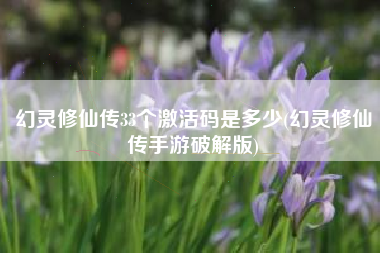 幻灵修仙传33个激活码是多少(幻灵修仙传手游破解版)