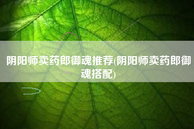 阴阳师卖药郎御魂推荐(阴阳师卖药郎御魂搭配)