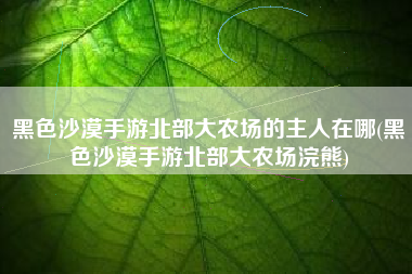 黑色沙漠手游北部大农场的主人在哪(黑色沙漠手游北部大农场浣熊)