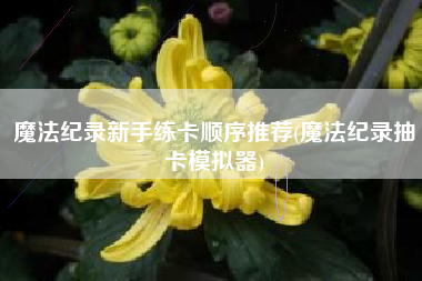 魔法纪录新手练卡顺序推荐(魔法纪录抽卡模拟器)