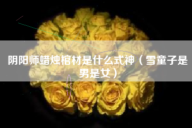 阴阳师蜡烛棺材是什么式神（雪童子是男是女）