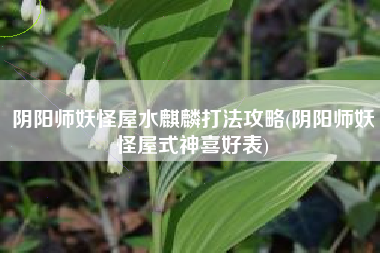 阴阳师妖怪屋水麒麟打法攻略(阴阳师妖怪屋式神喜好表)