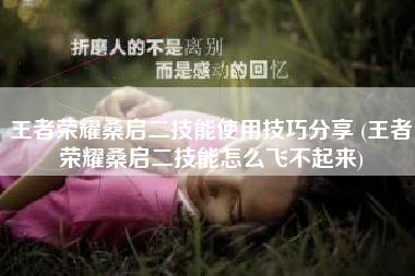 王者荣耀桑启二技能使用技巧分享 (王者荣耀桑启二技能怎么飞不起来)