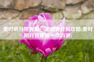 秦时明月世界第一天完美开局攻略(秦时明月世界第一次内测)