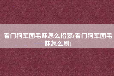 看门狗军团毛妹怎么招募(看门狗军团毛妹怎么刷)