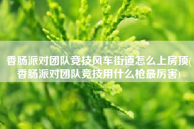 香肠派对团队竞技风车街道怎么上房顶(香肠派对团队竞技用什么枪最厉害)