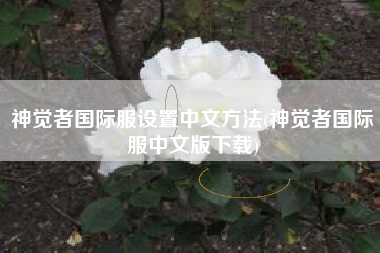 神觉者国际服设置中文方法(神觉者国际服中文版下载)
