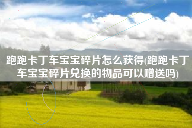 跑跑卡丁车宝宝碎片怎么获得(跑跑卡丁车宝宝碎片兑换的物品可以赠送吗)