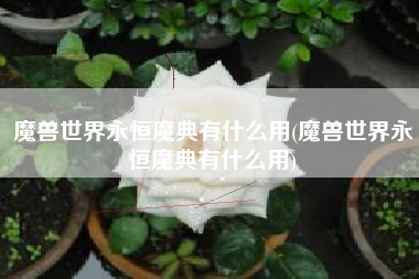 魔兽世界永恒魔典有什么用(魔兽世界永恒魔典有什么用)