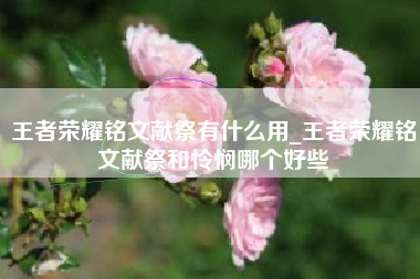 王者荣耀铭文献祭有什么用_王者荣耀铭文献祭和怜悯哪个好些