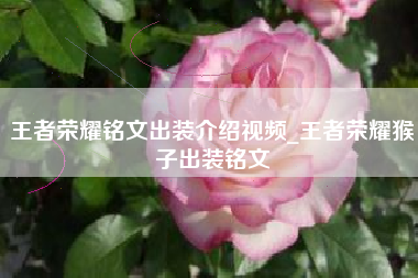 王者荣耀铭文出装介绍视频_王者荣耀猴子出装铭文