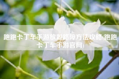 跑跑卡丁车手游放置路障方法攻略(跑跑卡丁车手游官网)