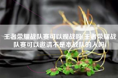 王者荣耀战队赛可以观战吗(王者荣耀战队赛可以邀请不是本战队的人吗)