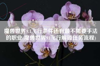 魔兽世界9.1飞行条件还有最不需要手法的职业(魔兽世界91飞行解锁任务流程)