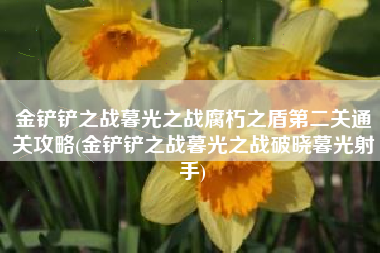 金铲铲之战暮光之战腐朽之盾第二关通关攻略(金铲铲之战暮光之战破晓暮光射手)
