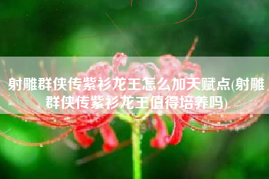 射雕群侠传紫衫龙王怎么加天赋点(射雕群侠传紫衫龙王值得培养吗)
