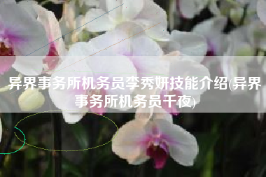 异界事务所机务员李秀妍技能介绍(异界事务所机务员千夜)
