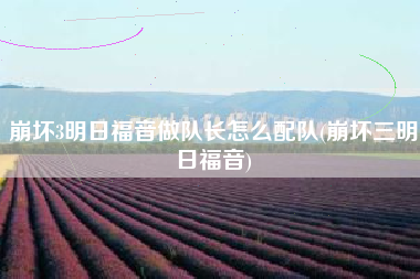 崩坏3明日福音做队长怎么配队(崩坏三明日福音)