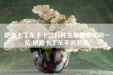 跑跑卡丁车手十二月杯王争霸赛奖励一览(跑跑卡丁车手游游吧)