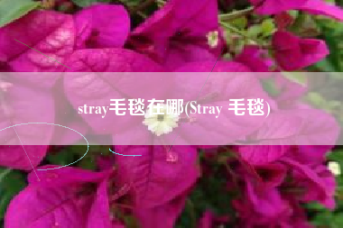 stray毛毯在哪(Stray 毛毯)
