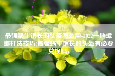 最强蜗牛馆长的头盔怎么用-2022一地蟑螂打法技巧(最强蜗牛馆长的头盔有必要兑换吗)