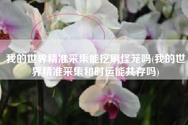 我的世界精准采集能挖刷怪笼吗(我的世界精准采集和时运能共存吗)