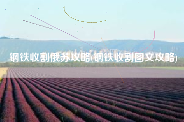 钢铁收割俄苏攻略(钢铁收割图文攻略)