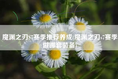 魔渊之刃S7赛季推荐养成(魔渊之刃s7赛季做哪套装备)
