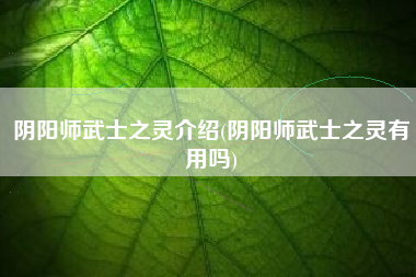 阴阳师武士之灵介绍(阴阳师武士之灵有用吗)