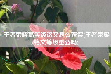 王者荣耀高等级铭文怎么获得(王者荣耀铭文等级重要吗)