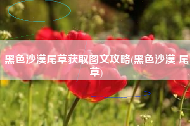 黑色沙漠尾草获取图文攻略(黑色沙漠 尾草)