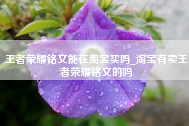 王者荣耀铭文能在淘宝买吗_淘宝有卖王者荣耀铭文的吗