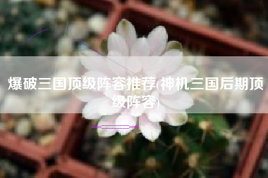 爆破三国顶级阵容推荐(神机三国后期顶级阵容)