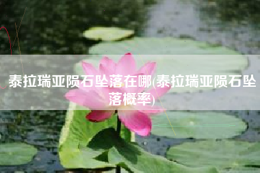 泰拉瑞亚陨石坠落在哪(泰拉瑞亚陨石坠落概率)