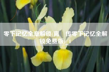 零下记忆全章解锁(离玥传零下记忆全解锁免费版)_4