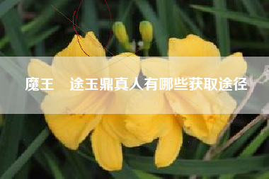 魔王囧途玉鼎真人有哪些获取途径