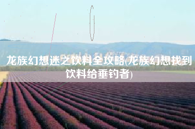 龙族幻想迷之饮料全攻略(龙族幻想找到饮料给垂钓者)