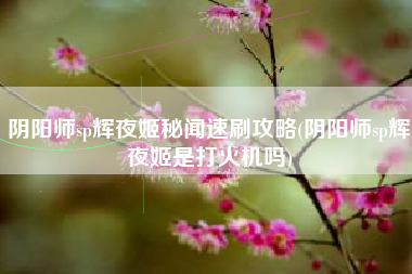 阴阳师sp辉夜姬秘闻速刷攻略(阴阳师sp辉夜姬是打火机吗)