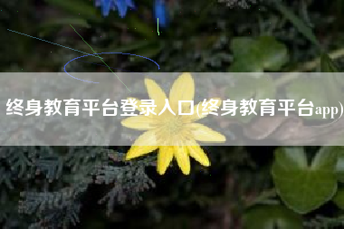 终身教育平台登录入口(终身教育平台app)