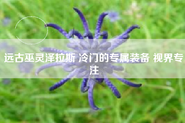 远古巫灵泽拉斯 冷门的专属装备 视界专注