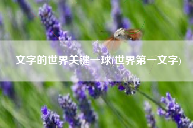 文字的世界关键一球(世界第一文字)