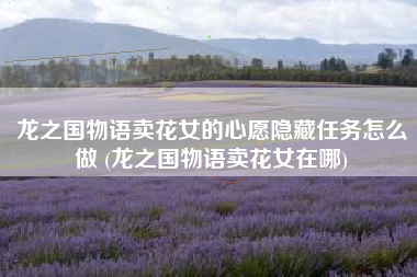 龙之国物语卖花女的心愿隐藏任务怎么做 (龙之国物语卖花女在哪)