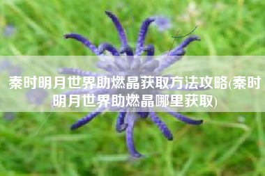 秦时明月世界助燃晶获取方法攻略(秦时明月世界助燃晶哪里获取)