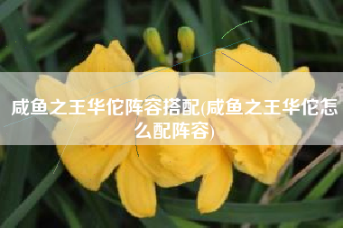 咸鱼之王华佗阵容搭配(咸鱼之王华佗怎么配阵容)