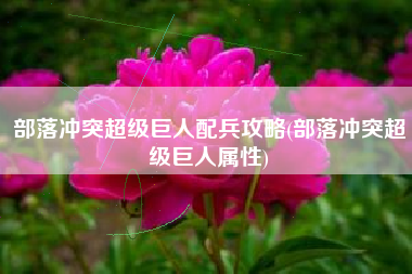 部落冲突超级巨人配兵攻略(部落冲突超级巨人属性)