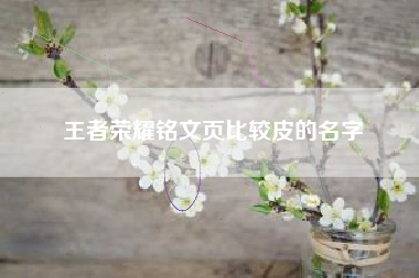 王者荣耀铭文页比较皮的名字